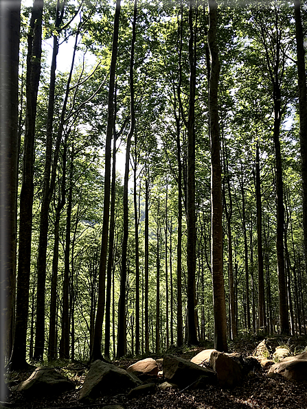 foto Parco dei Cento Laghi